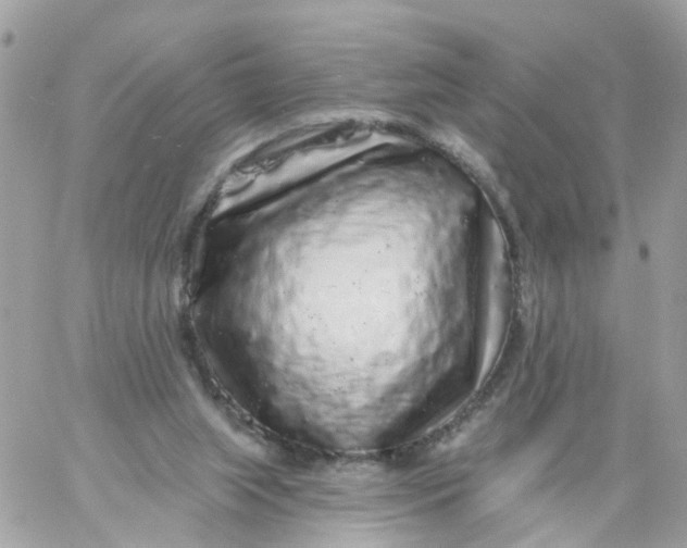 X0000058830063200510212005