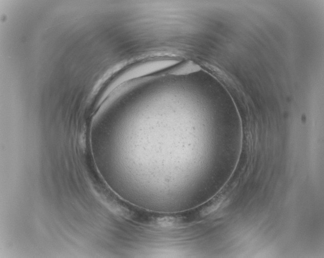 X0000058830064200510212005