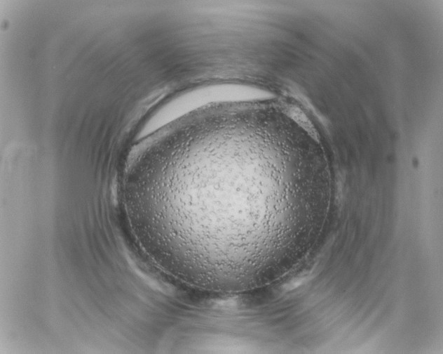 X0000058830068200510212005