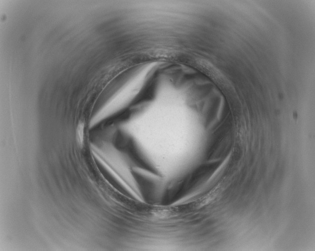 X0000058830070200510212006