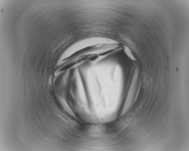 X0000058830077200510212006