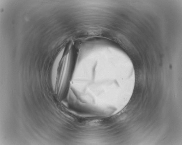X0000058830078200510212006
