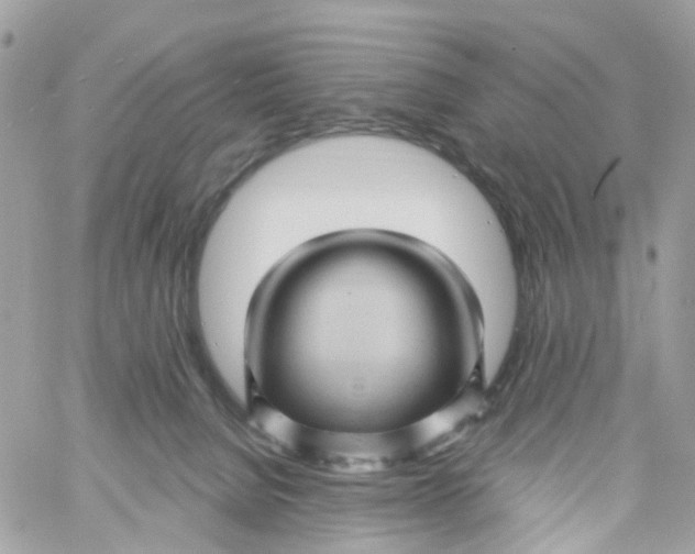 X0000058830080200510212006