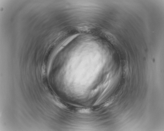 X0000058830081200510212006