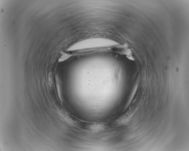 X0000058830085200510212006