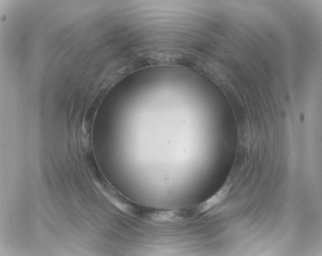 X0000058830086200510212006