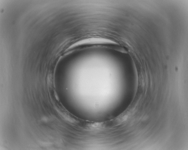 X0000058830092200510212006