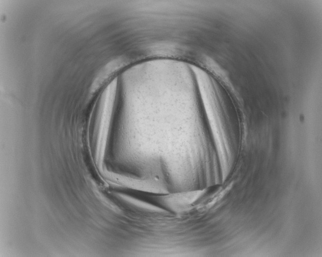 X0000058830106200510212005