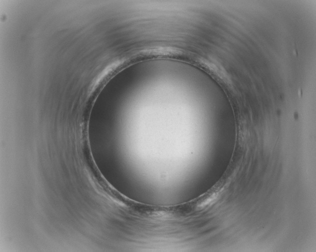 X0000058830111200510212005