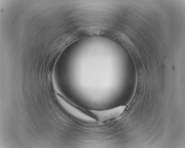 X0000058830125200510212005