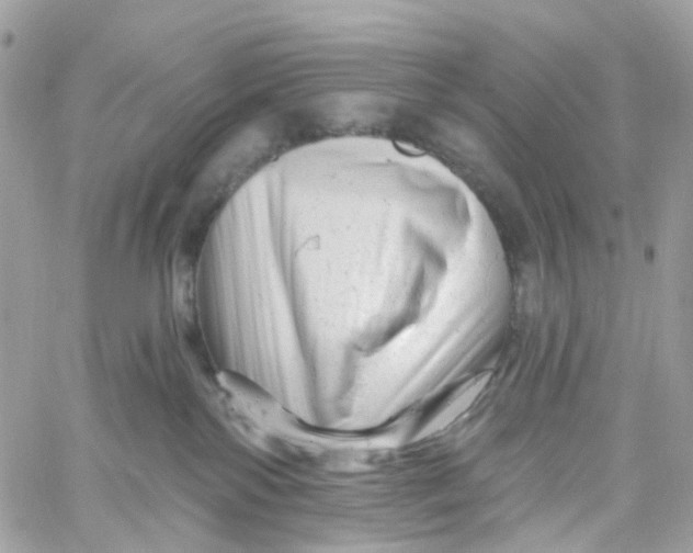X0000058830138200510212004