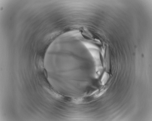 X0000058830143200510212004