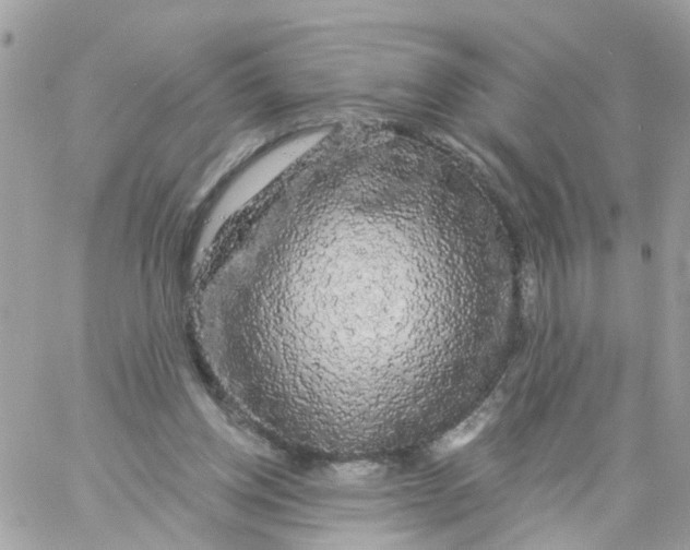 X0000058830158200510212004