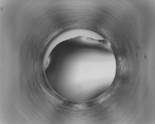 X0000058830164200510212004