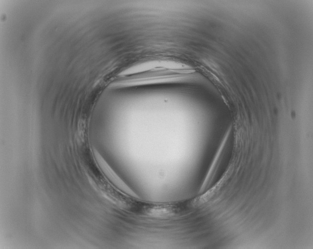 X0000058830171200510212004