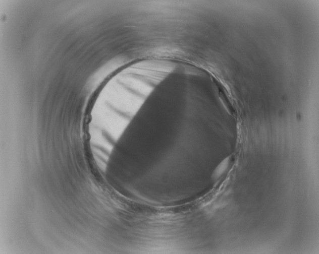 X0000058830196200510212004