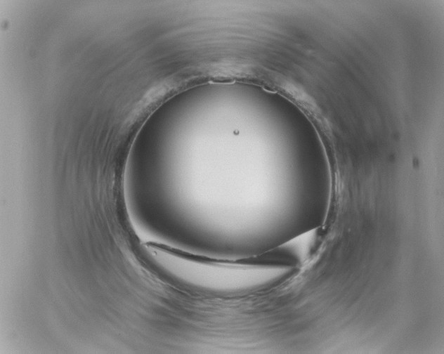 X0000058830201200510212003