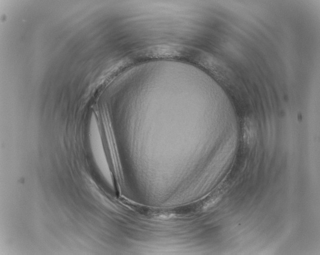 X0000058830206200510212003