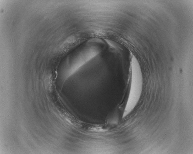 X0000058830223200510212003