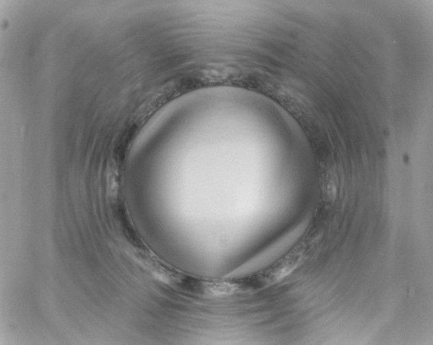 X0000058830226200510212003