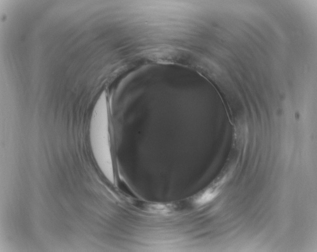 X0000058830239200510212003