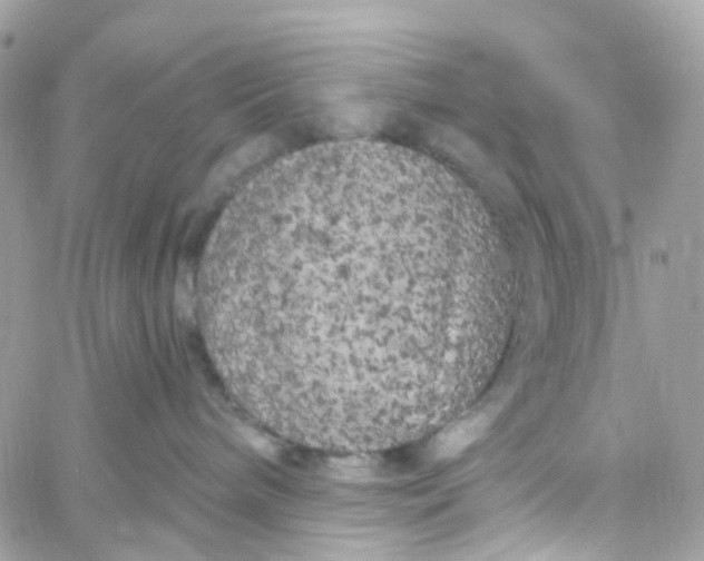 X0000058830240200510212003