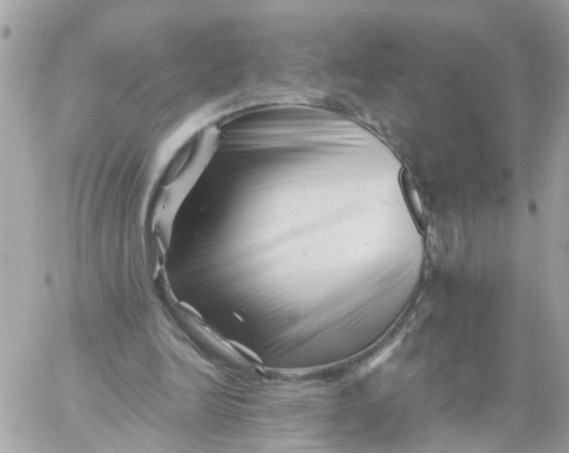 X0000058830246200510212002