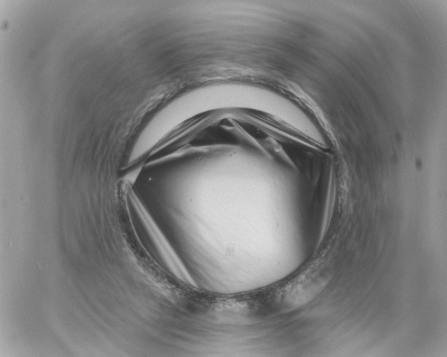 X0000058830257200510212002