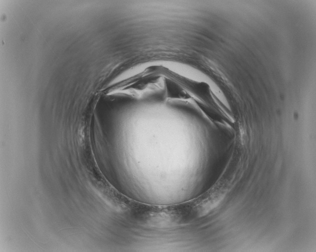 X0000058830259200510212002