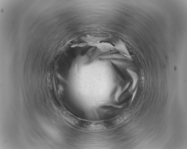 X0000058830270200510212002