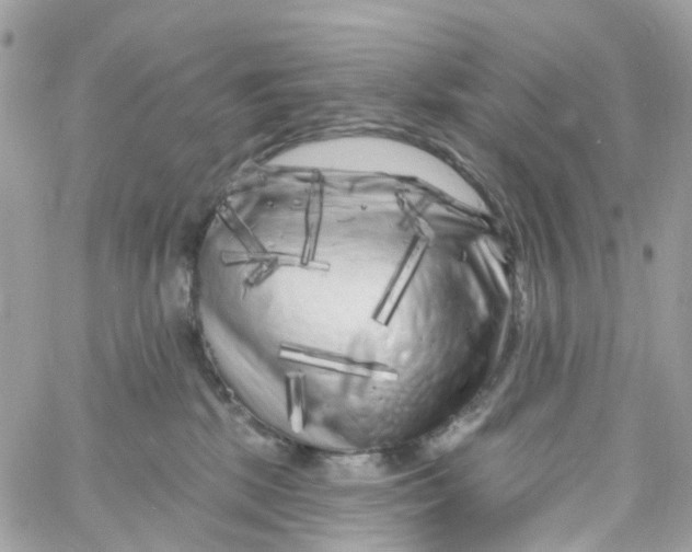 X0000058830281200510212003