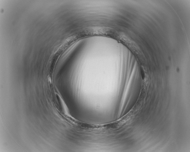 X0000058830306200510212002
