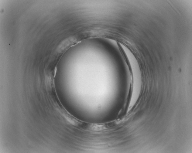 X0000058830333200510212001