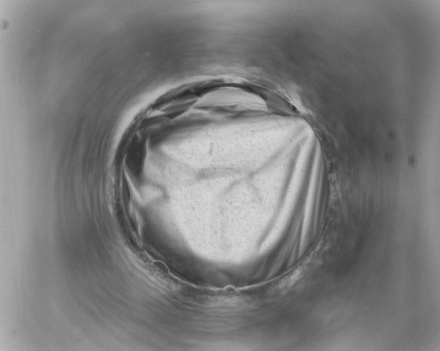X0000058830342200510212001
