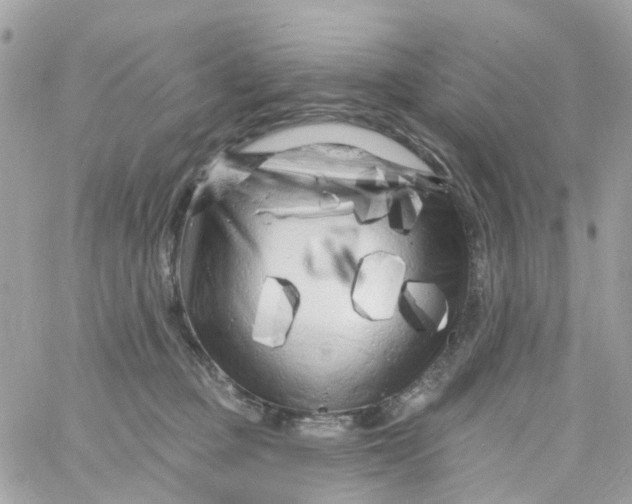 X0000058830373200510212001