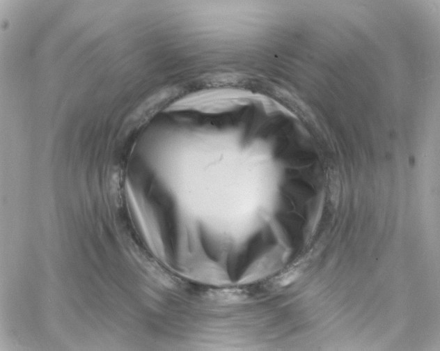 X0000058830378200510212001