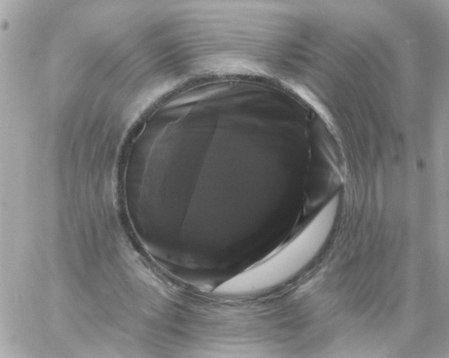 X0000058830391200510212000