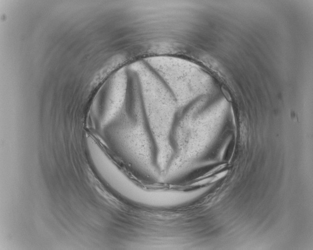 X0000058830393200510212000