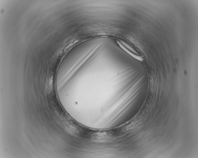 X0000058830406200510212000