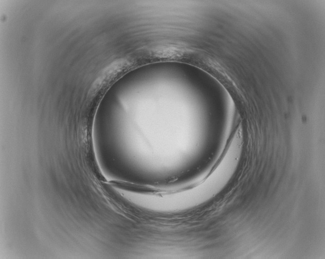 X0000058830407200510212000