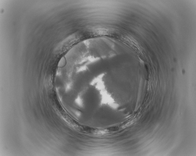 X0000058830410200510212000