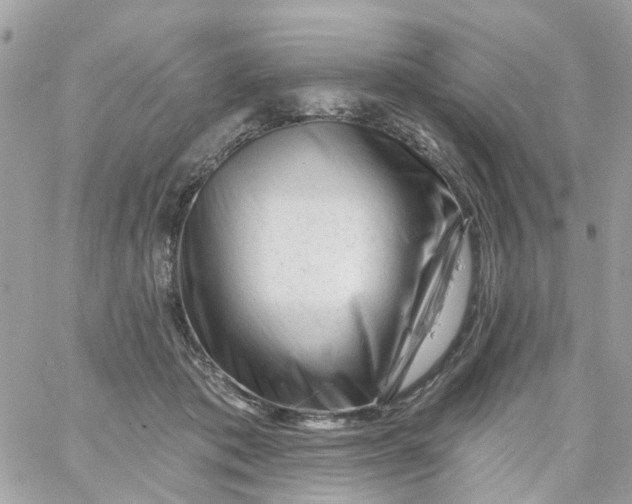 X0000058830413200510212000