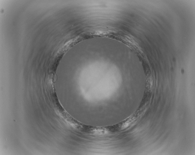 X0000058830415200510212000