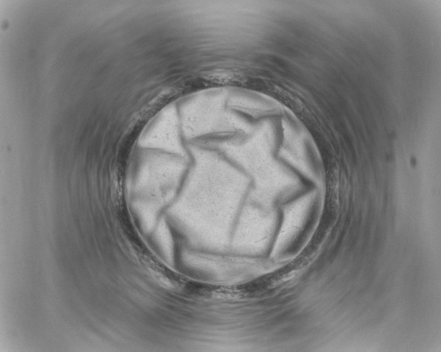 X0000058830420200510212000