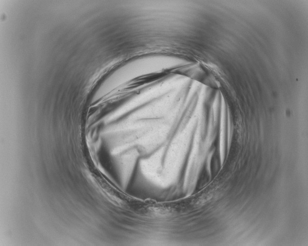 X0000058830442200510211959