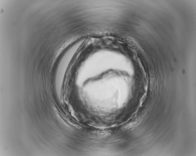 X0000058830443200510211959