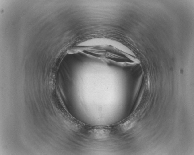 X0000058830464200510211959