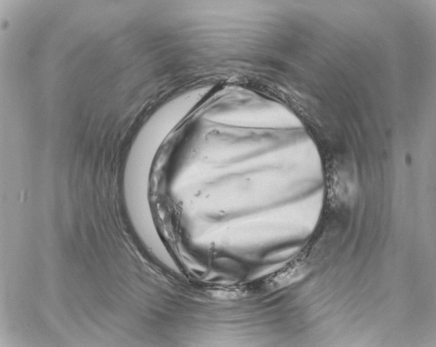 X0000058830466200510211959