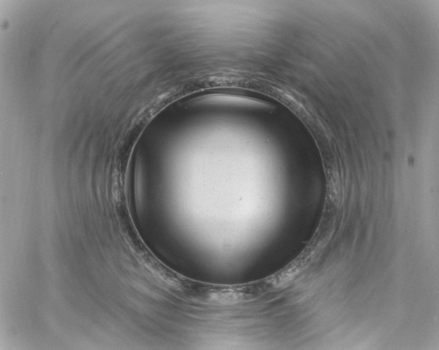 X0000058830470200510211959