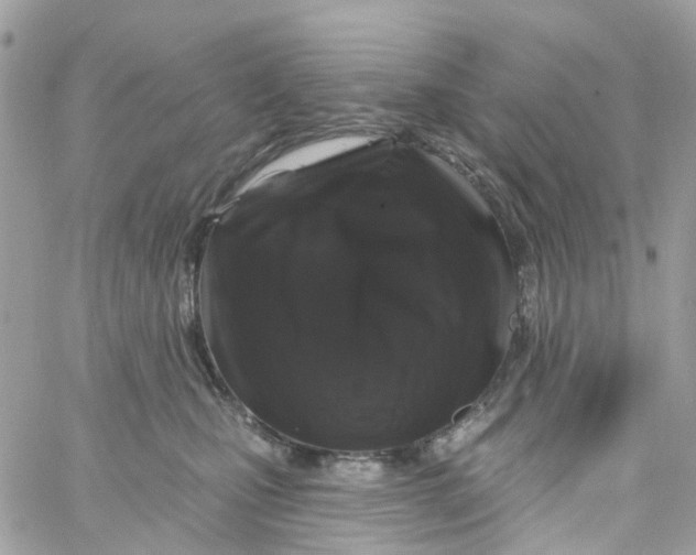X0000058830471200510211959